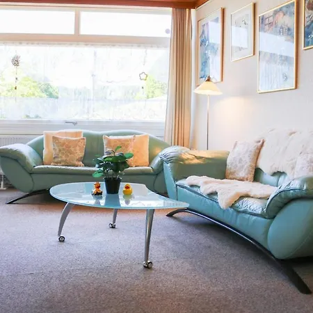Froehliche Ente Retro 1208 Mit Pool Appartement Schluchsee