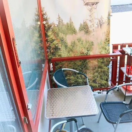 Appartement Froehliche Ente Retro 1208 Mit Pool Schluchsee